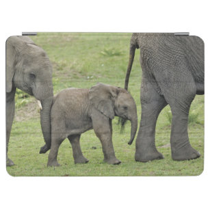 Female African Elephant with baby, Loxodonta 3 iPad Air Cover