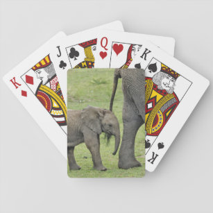 Female African Elephant with baby, Loxodonta 3 Playing Cards
