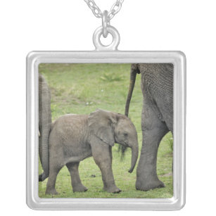 Female African Elephant with baby, Loxodonta 3 Silver Plated Necklace