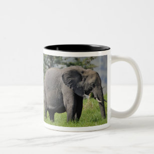 Female African Elephant with baby, Loxodonta Two-Tone Coffee Mug