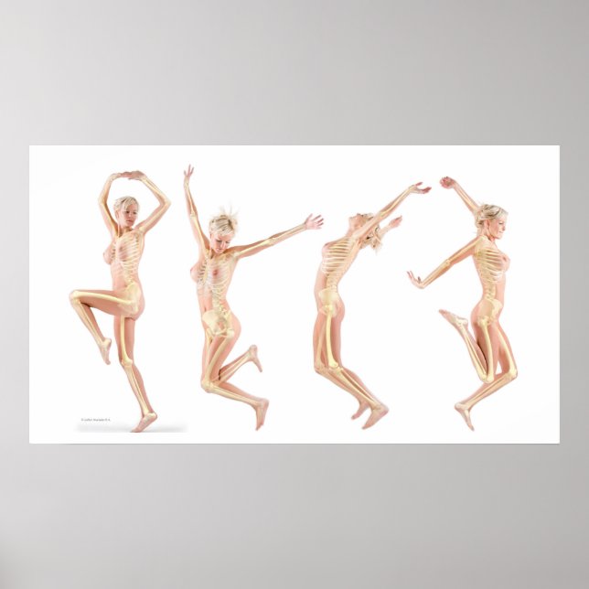 Female Anatomy Poster (Front)