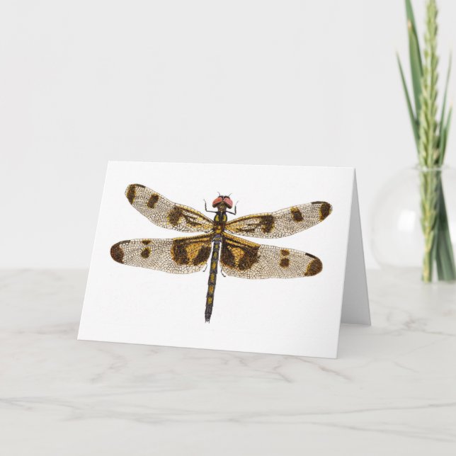 Female Banded Pennant Dragonfly Card (Front)