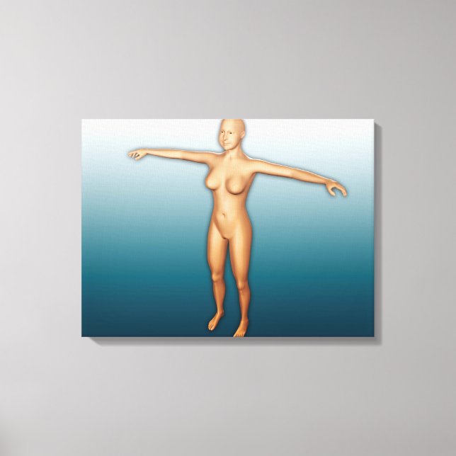 Female Body With Arms Extended Canvas Print (Front)