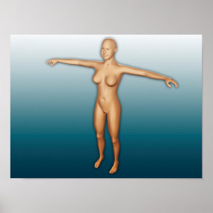 Female Body With Arms Extended Poster