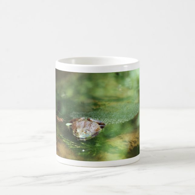 Female Bullfrog Laying Eggs Coffee Mug (Center)