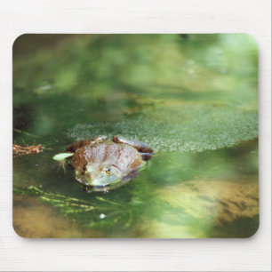 Female Bullfrog Laying Eggs Mouse Pad