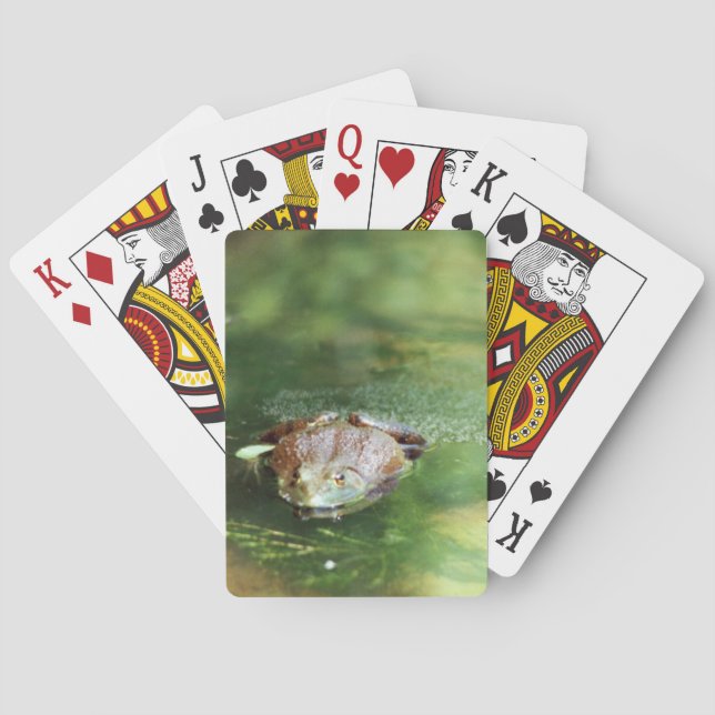Female Bullfrog Laying Eggs Playing Cards (Back)