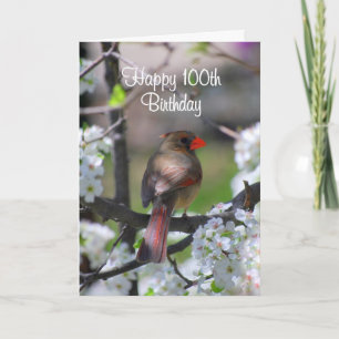 Female Cardinal 100th Birthday Card