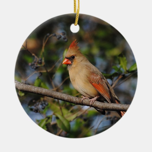 Female Cardinal 4 Ceramic Ornament (Front)