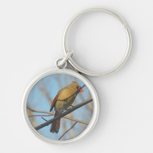 Female Cardinal/Bird Keychain (Front)