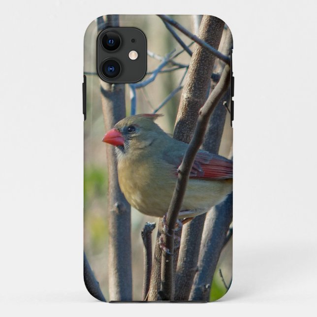 Female Cardinal Case-Mate iPhone Case (Back)