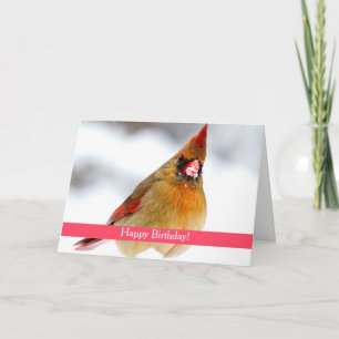 Female Cardinal Custom Birthday Card