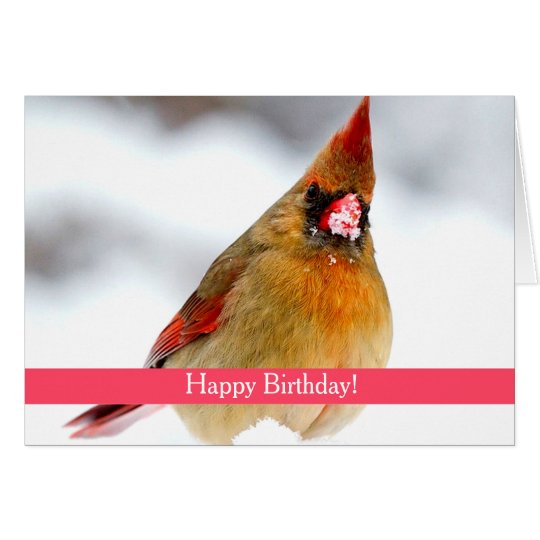 Female Cardinal Custom Birthday Card