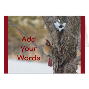 Female Cardinal in Tree-customize any occasion