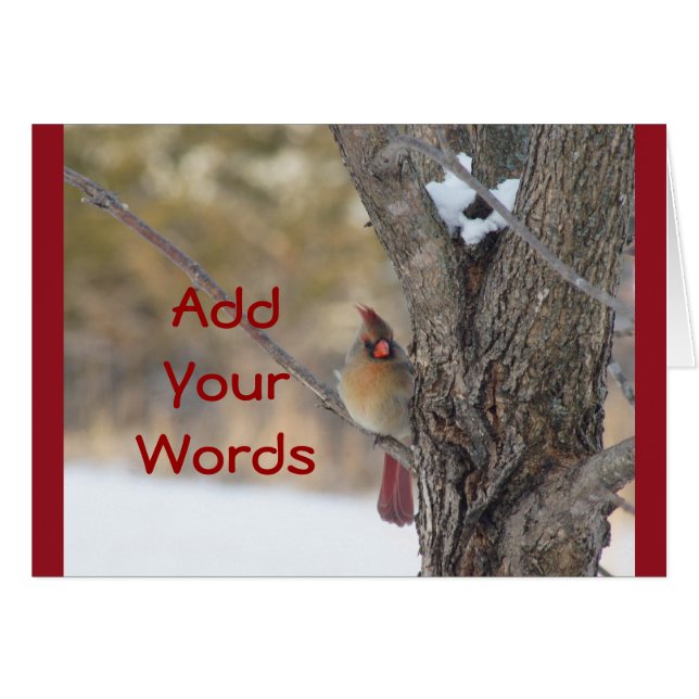 Female Cardinal in Tree-customize any occasion (Front Horizontal)