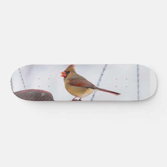 Female Cardinal Lunch Time Skateboard (Horz)