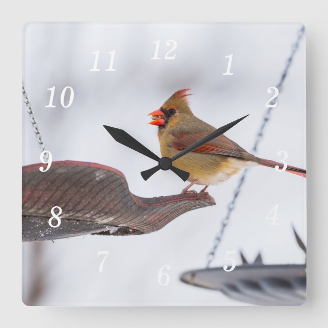 Female Cardinal Lunch Time Wall Clock (Front)