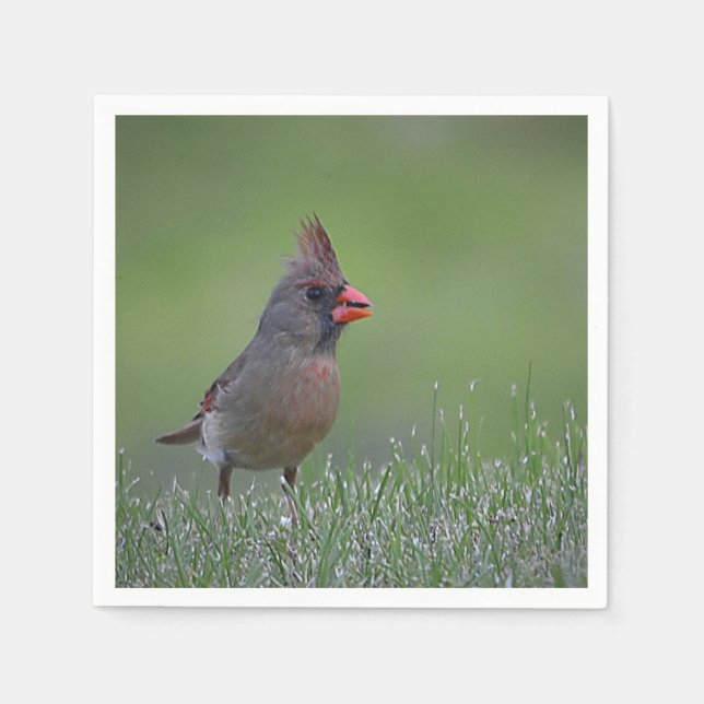 Female Cardinal Napkin (Front)