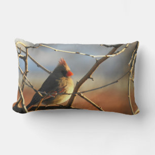 Female Cardinal Perched in Tree at Daybreak Lumbar Pillow