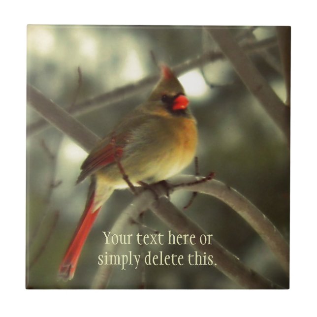 Female Cardinal Tile (Front)
