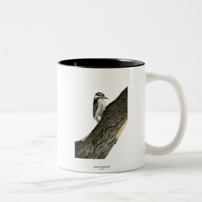 Female Downy Woodpecker - Customized Two-Tone Coffee Mug (Right)