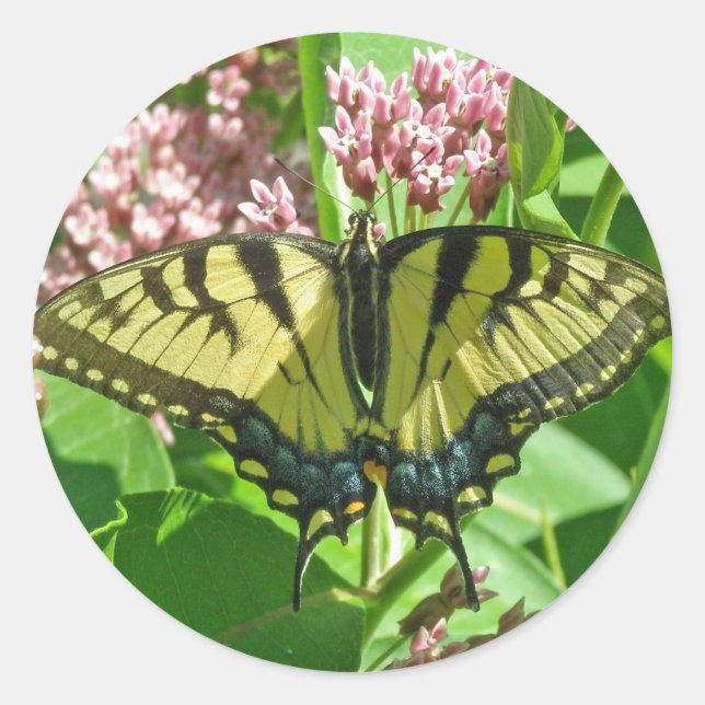 Female Eastern Tiger Swallowtail Butterfly Series Classic Round Sticker (Front)