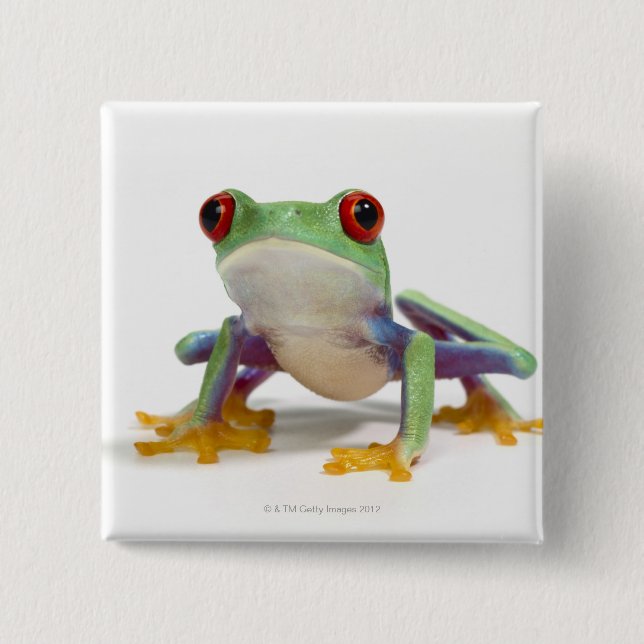 Female frog 2 inch square button (Front)
