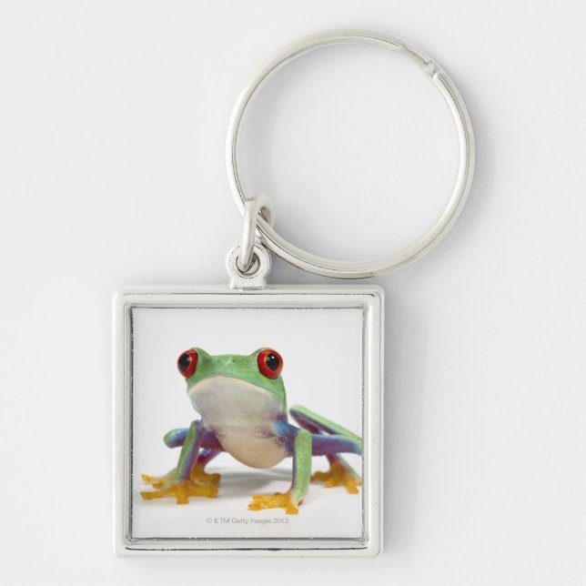 Female frog 2 keychain (Front)