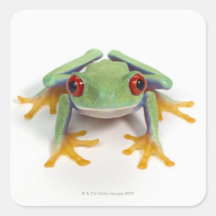 Female frog square sticker