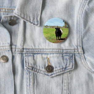 Female Galloway Cow In Country, Round Badge 2 Inch Round Button