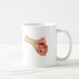 Female hand holds model of human kidney coffee mug