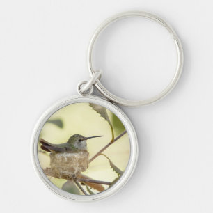 Female hummingbird on her nest keychain