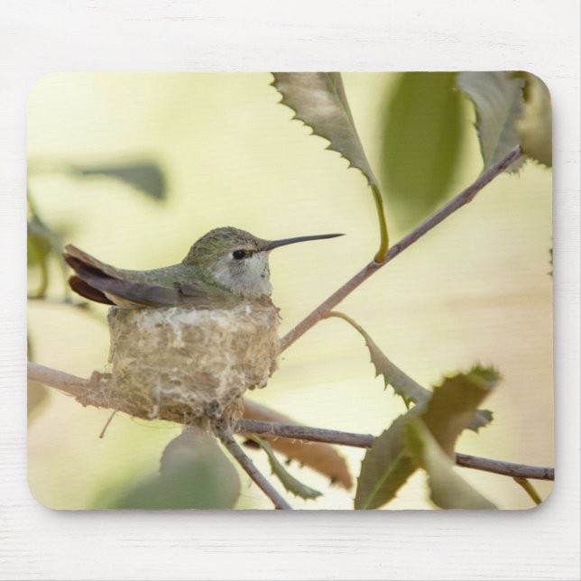 Female hummingbird on her nest mouse pad (Front)