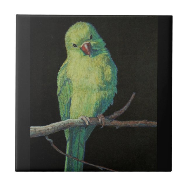 Female Indian Ringneck Parrot Tile (Front)