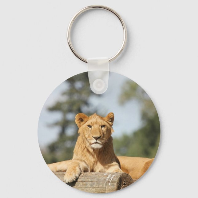 Female Lion Keychain (Front)