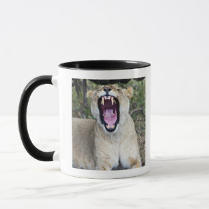 Female lion (Panthera leo), Masai Mara National Mug