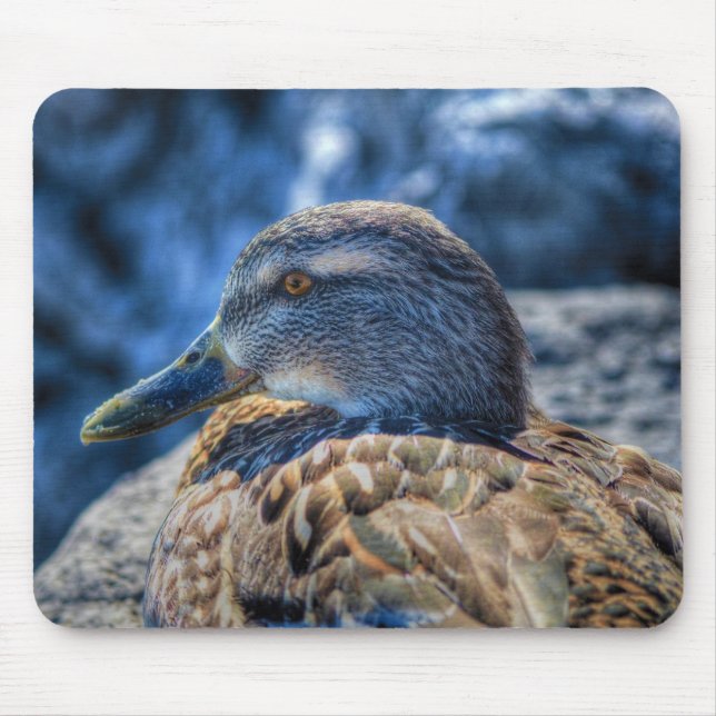 Female Mallard Duck Birdlover Wildlife Portrait Mouse Pad (Front)