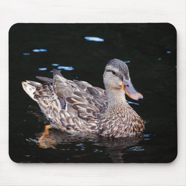 Female Mallard Duck Mouse Pad (Front)