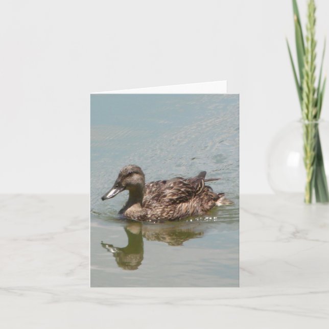 Female Mallard Duck Photo Folded Note Card (Front)