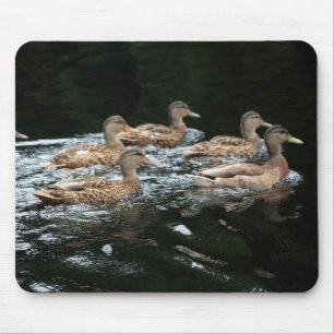 Female Mallard Ducks Mouse Pad