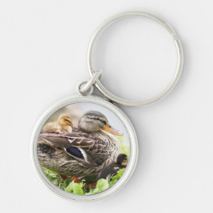 Female Mallard Surrounded By Ducklings Keychain