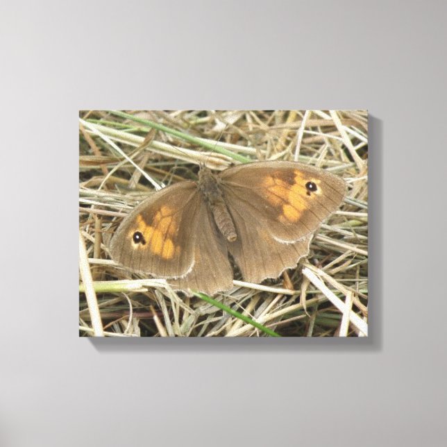 Female Meadow Brown Butterfly Canvas Print (Front)
