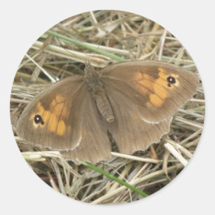 Female Meadow Brown Butterfly Stickers