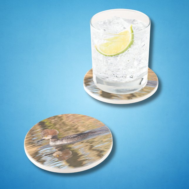 Female Merganser Duck Swims by in Calm Water Coaster (Nature loving dads will love this duck coaster for their cold drink on hot summer days!)