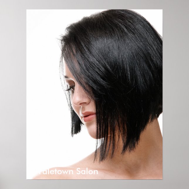 Female Model Hair Salon Poster (Front)
