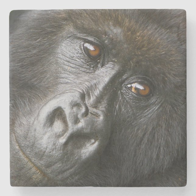 Female Mountain Gorilla Stone Coaster (Front)