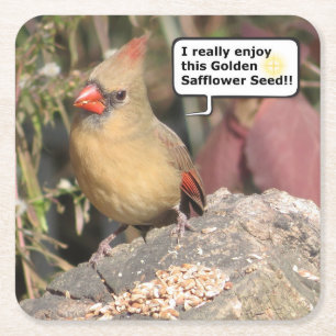Female Northern Cardinal Coaster Set.