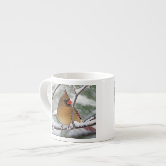 Female Northern Cardinal in snowy pine tree, Espresso Cup (Front Left)