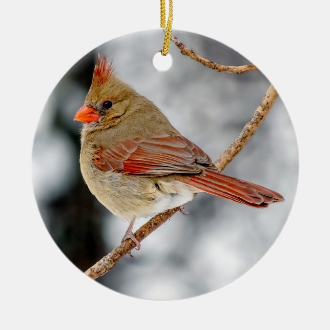 Female Northern Cardinal Ornament (Front)