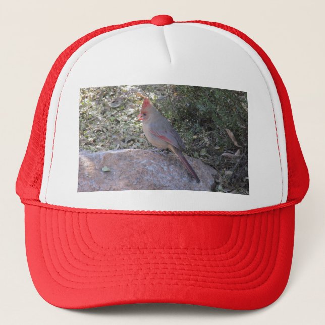 Female Northern Cardinal Trucker Hat (Front)